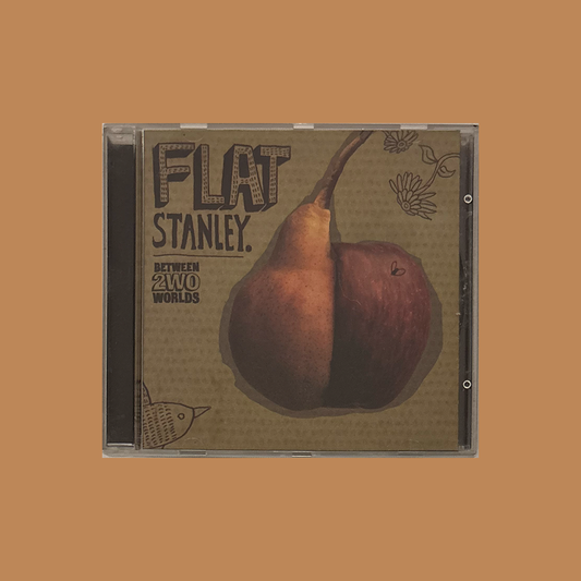 Flat Stanley - Between 2wo Worlds